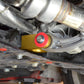 Damond Motorsports-Focus ST/RS Rear Motor Mount- at Damond Motorsports