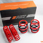 AST 10/2004-10/2008 Volkswagen Golf V Lowering Springs - 25mm/25mm