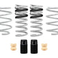 Eibach 15-17 Ford Mustang GT Coupe S550 Drag-Launch-Kit (Set of 4 Springs)